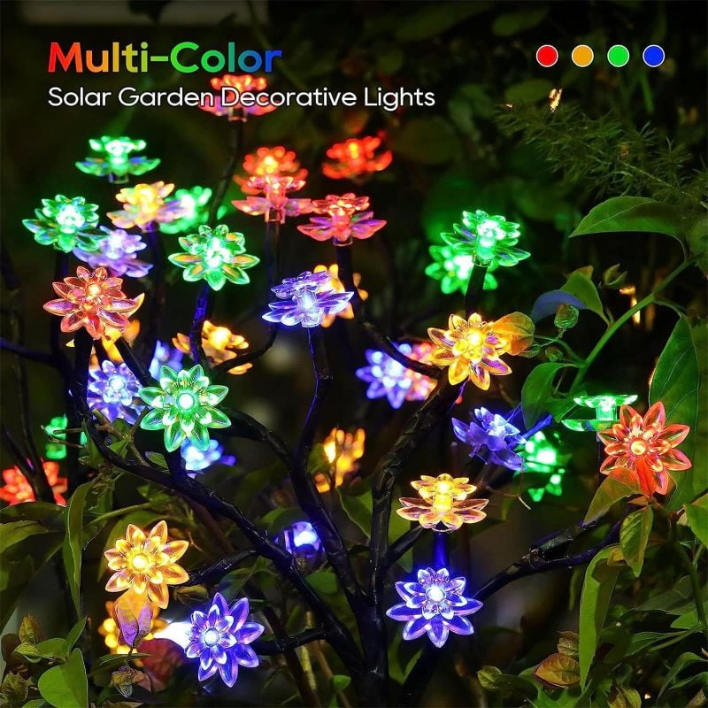 Colorful Light